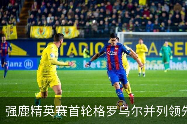 强鹿精英赛首轮格罗乌尔并列领先 李昊桐窦泽成T21